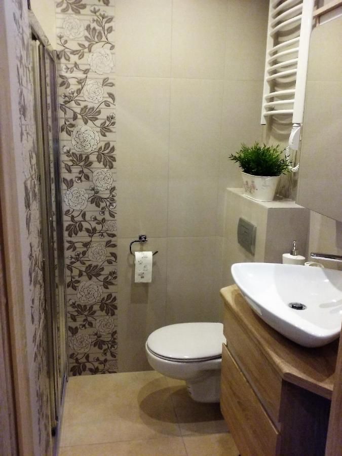 Апартаменты Apartament Hawrań Murzasichle Мужасихле-25